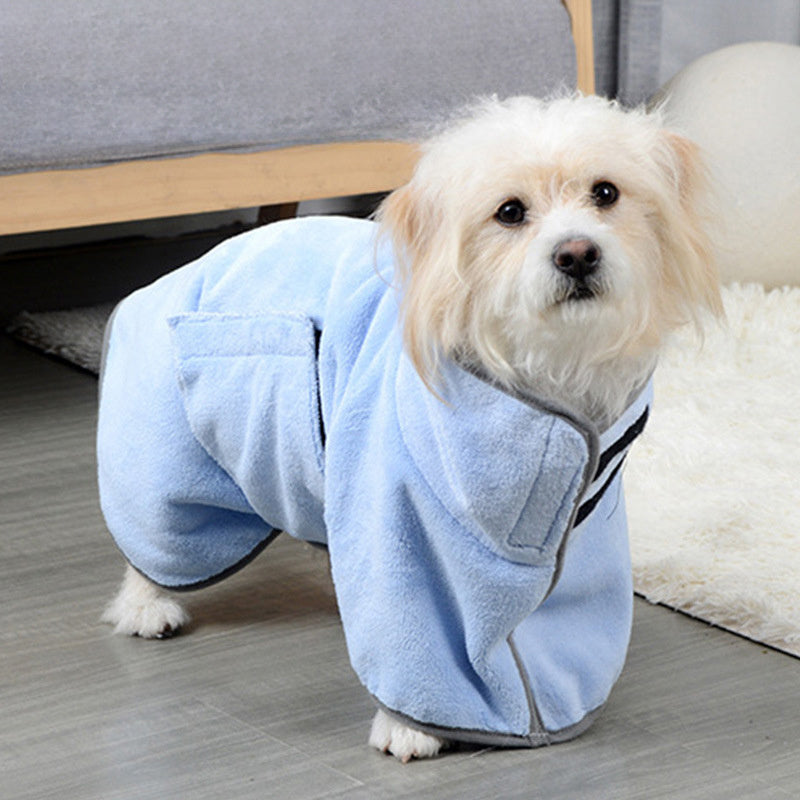 Small dog wearing a blue robe indoors on a wooden floor.