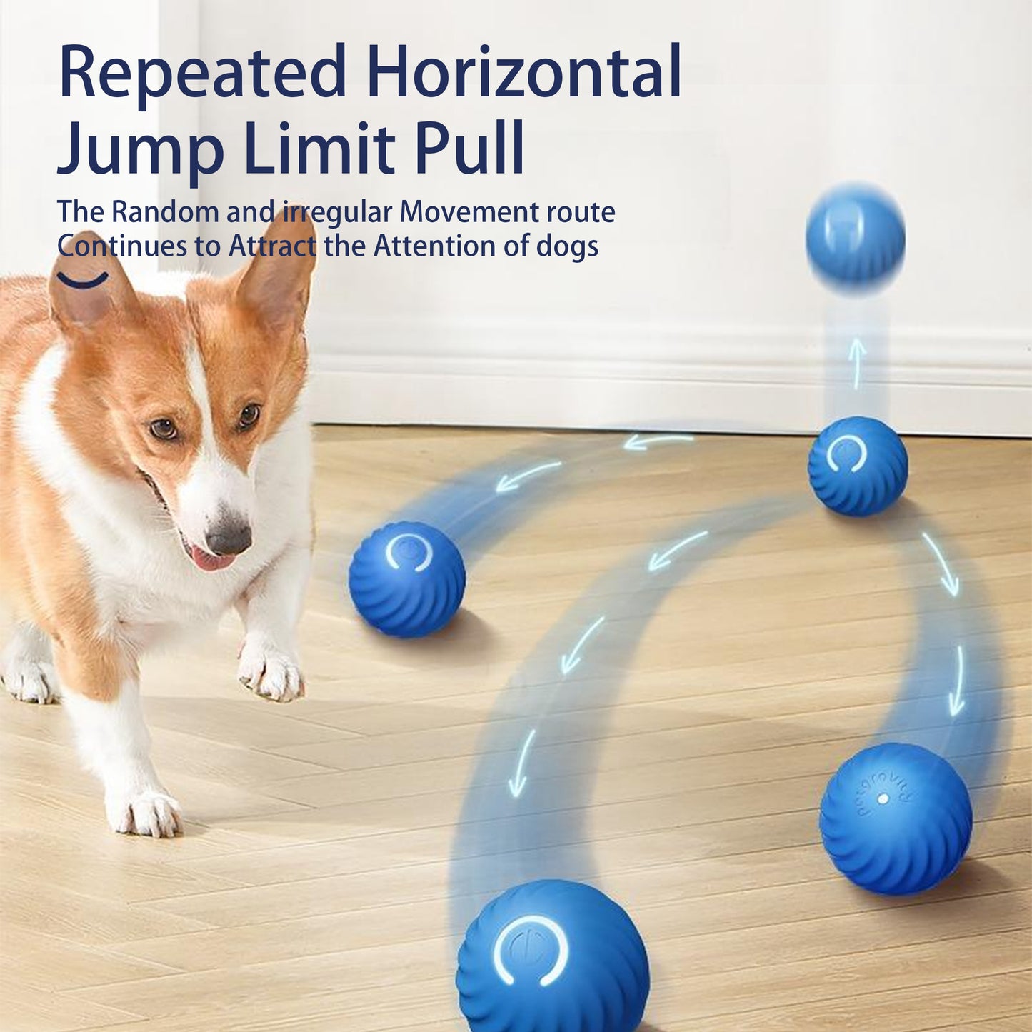 Corgi playing with a bouncing ball and the inscription Repeated Horizonat Jump Limit Pull.