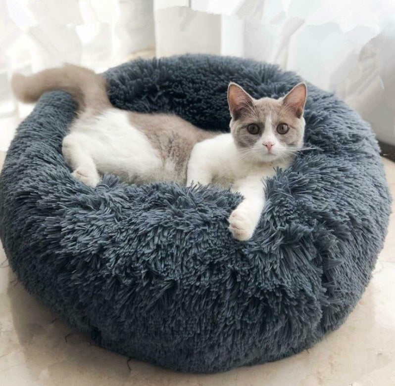 Cat lying on a fluffy blue pet bed in a bright room.