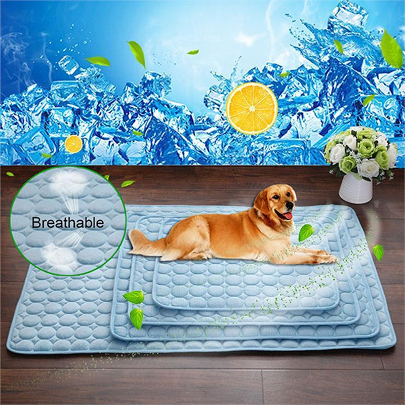 Dog lying on a blue cooling pad with ice cubes and lemon slices in the background
