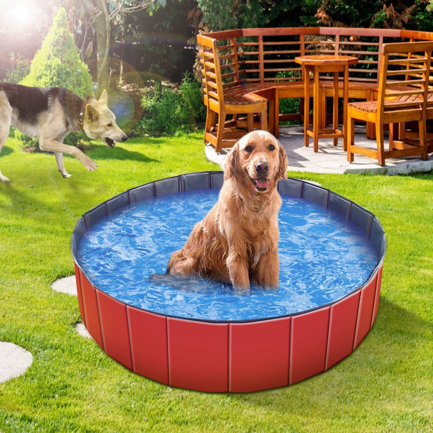 Dog sitting in a red and blue pet pool in a backyard with another dog in the background.