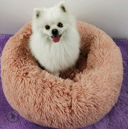 White dog sitting on a fluffy pink donut bed with a purple blanket underneath
