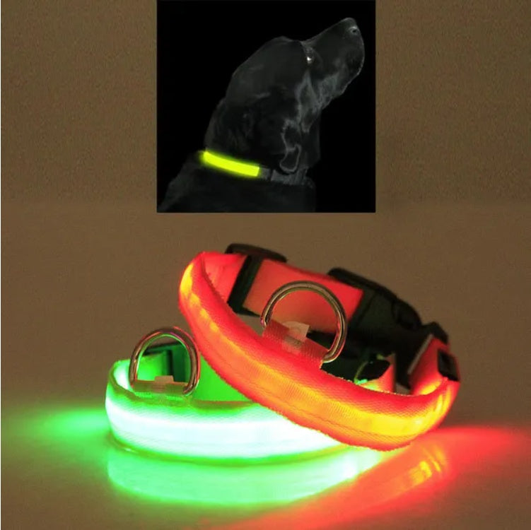 Two LED dog collars, one green and one red, on a reflective surface with a dark inset showing a dog wearing a similar collar.