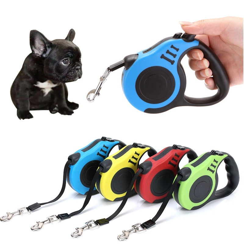 Retractable dog leashes in various colors held by a hand with a small black dog on a white background.