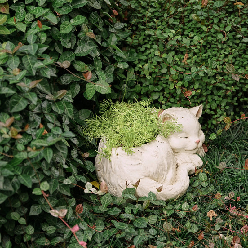 White cat-shaped planter with green moss nestled among green foliage