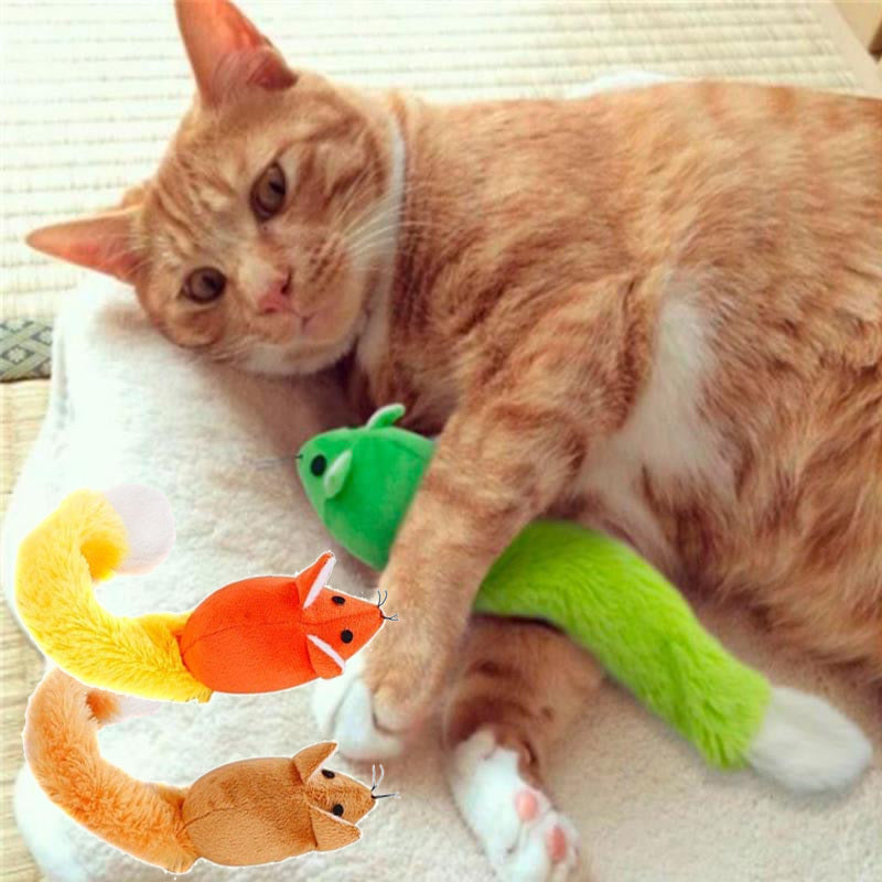 Cat playing with colorful plush toys on a white surface