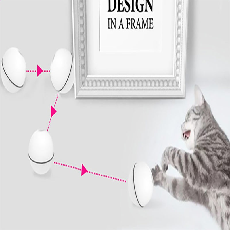 Cat playing with a design in a frame, showing interaction between cat and light fixture.