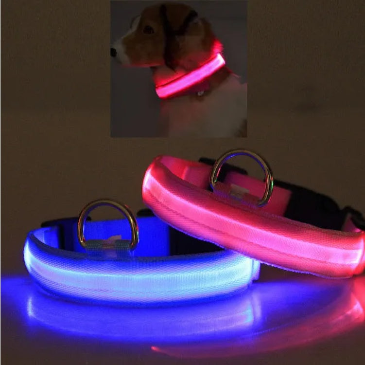 Two LED dog collars, one blue and one pink, on a reflective surface with a dark background.