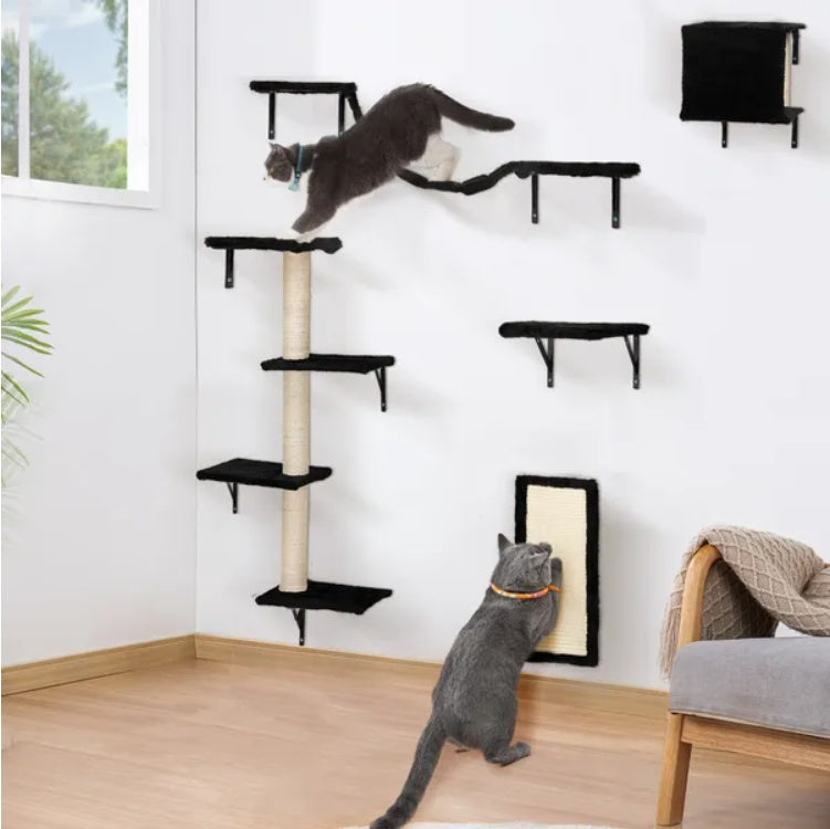 Cat climbing a wall-mounted cat tree in a room with a window and furniture.