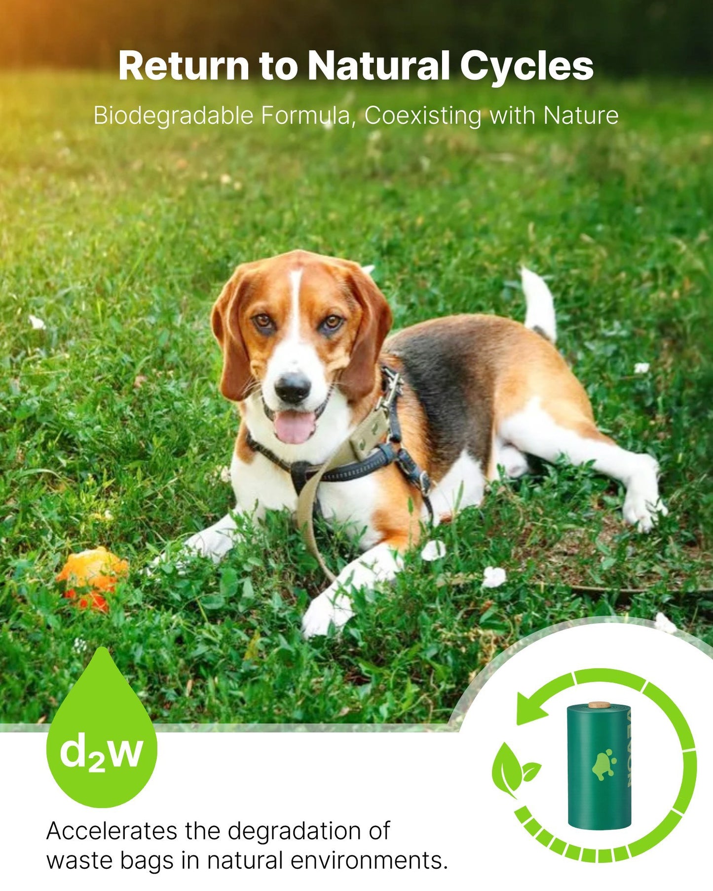 The Eco-Conscious Dog Waste Bags: 270 Count