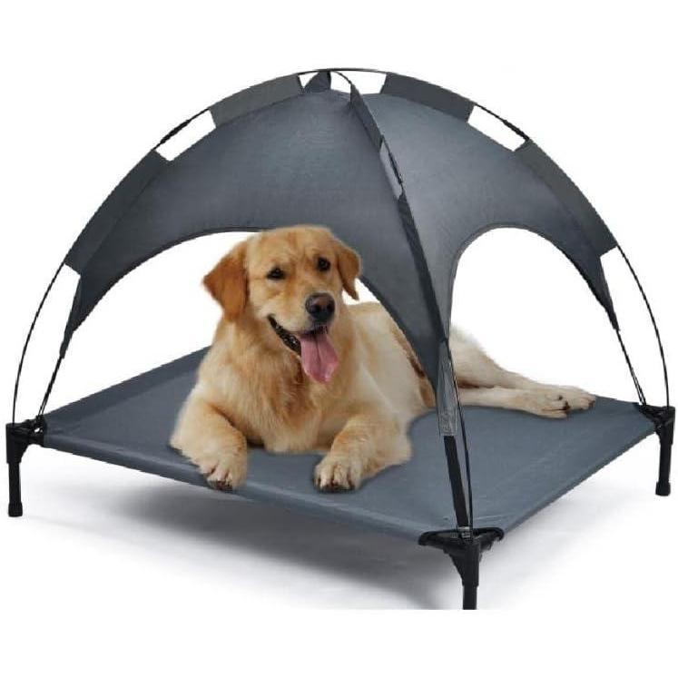Dog lying on a gray pet canopy bed with a white background