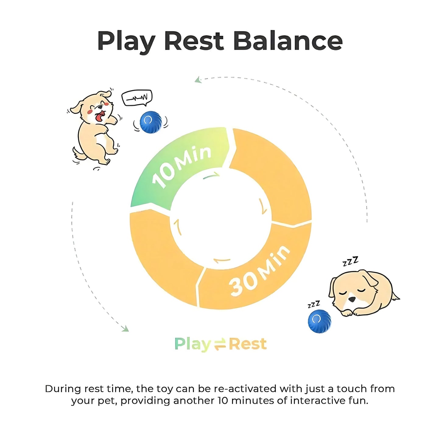 Image with text Play Rest Balance with a circle describing 10 minutes of puppy play and 30 minutes of dog sleep.