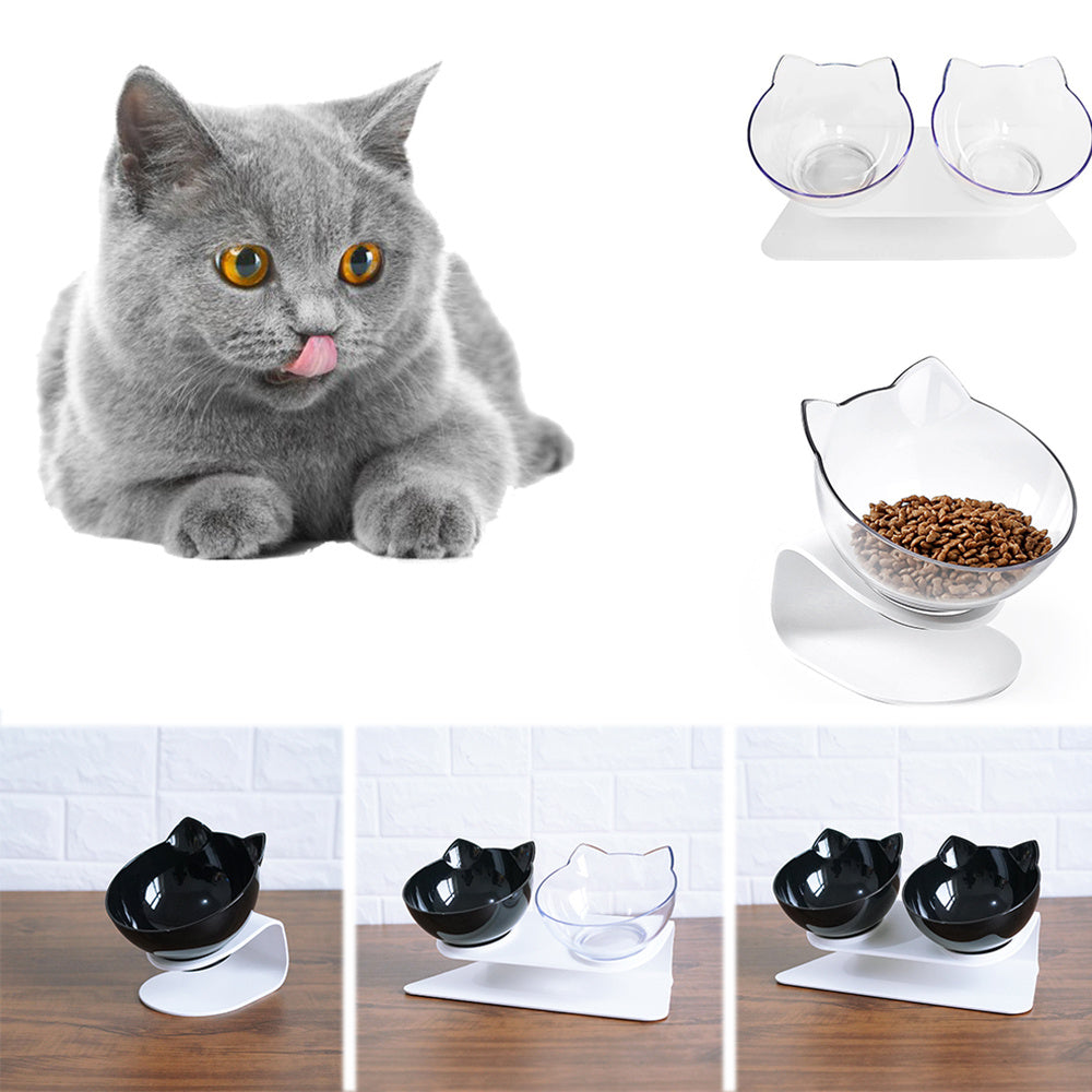 Gray cat with a set of pet bowls on a white background