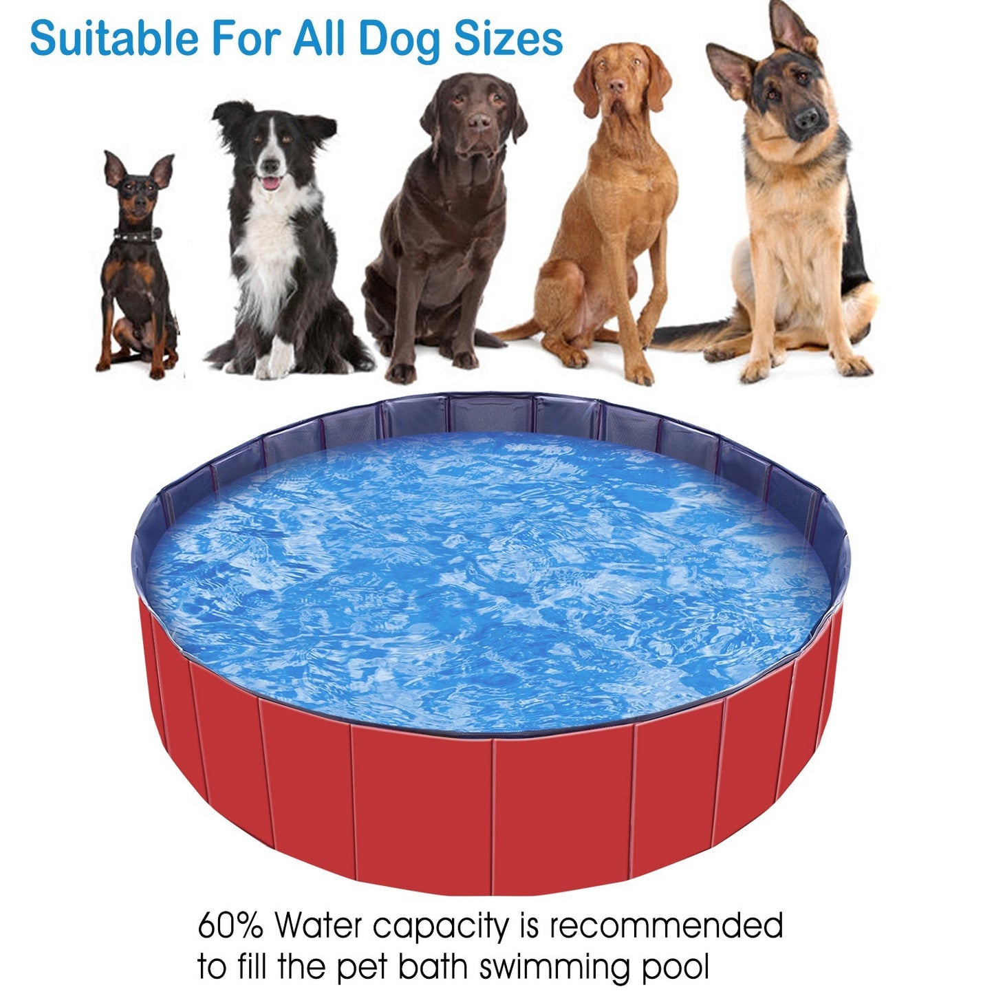 Foldable Pet Splash Pool