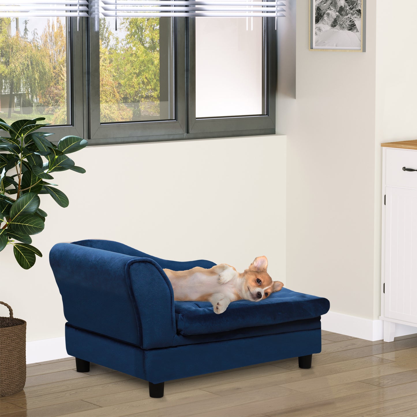 Dog lying on a blue pet bed in a room with a window and plant.