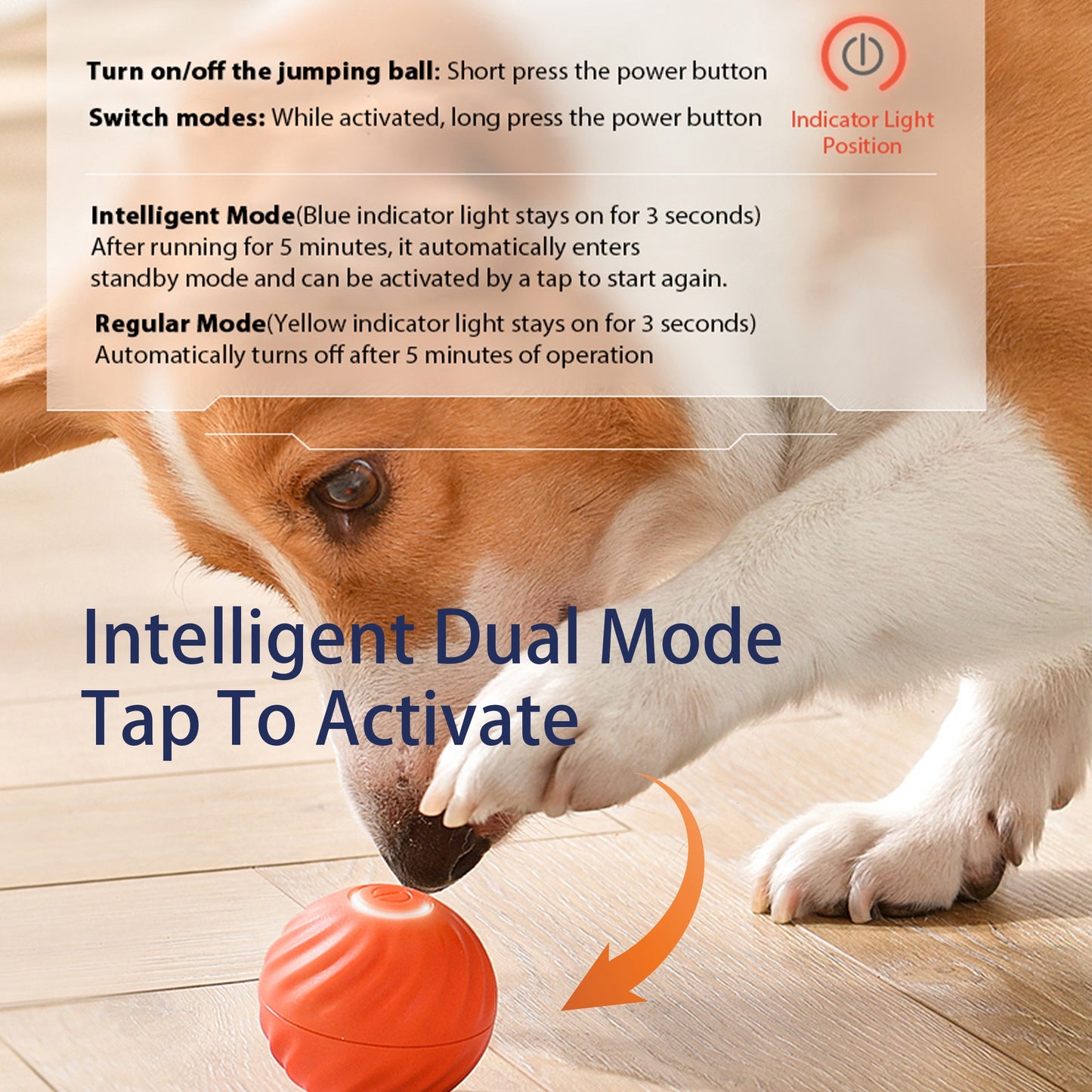 Corgi reaching with its paw for the bouncing ball and the inscription Intelligent Dual Mode Tap to Activate.
