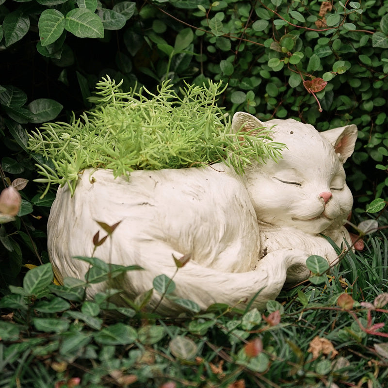 White cat-shaped planter with green plant against a green leafy background