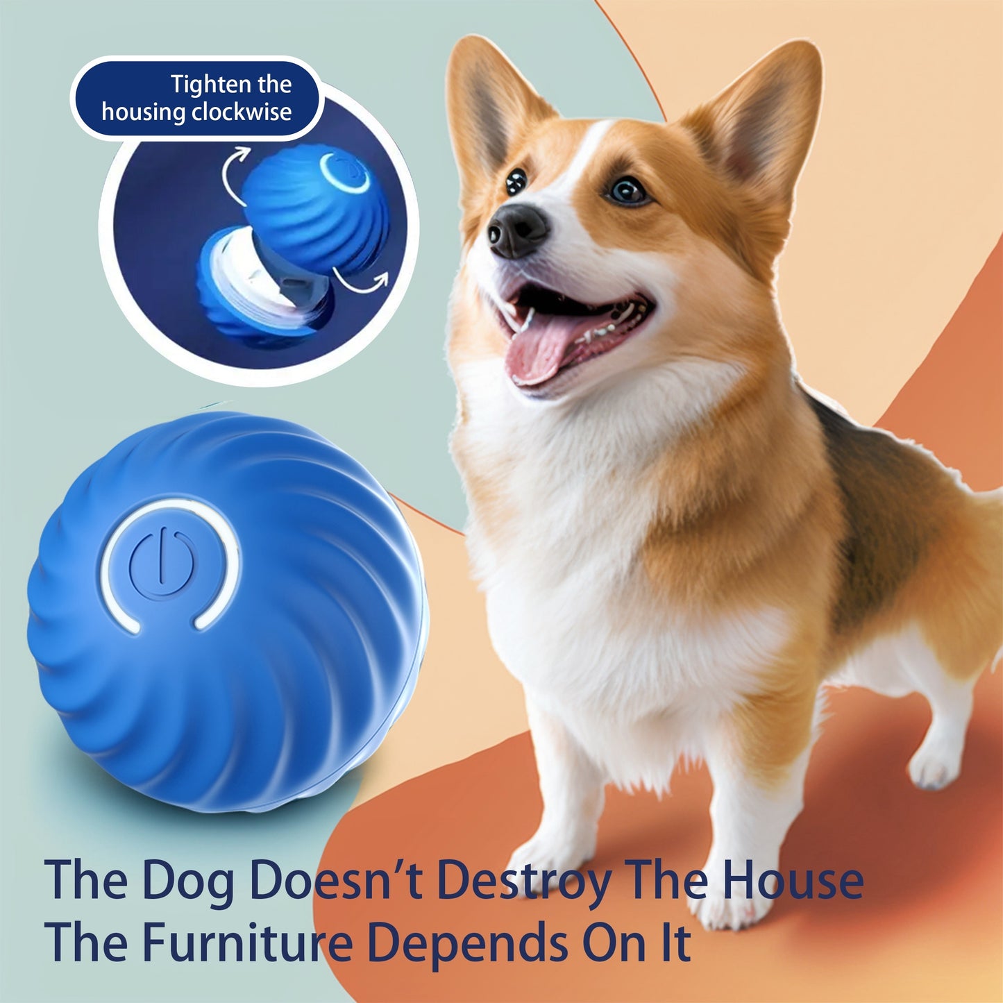 Corgi, standing smiling next to a bouncing ball and the caption "The Dog doesn't destroy the house".