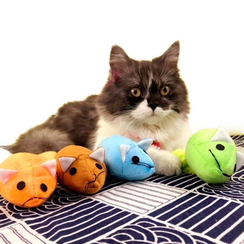 Cat sitting with colorful plush toys on a patterned surface