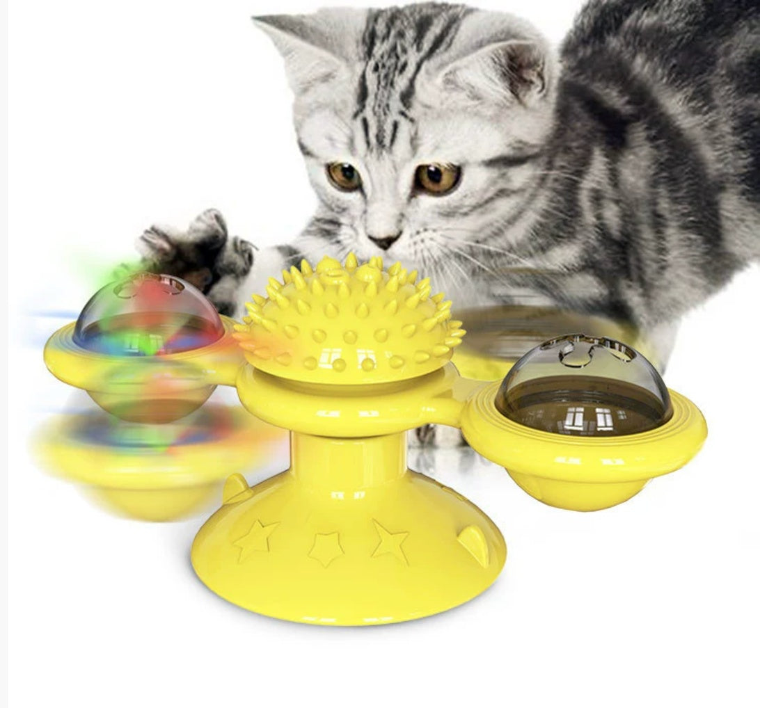 Cat playing with a yellow rotating toy