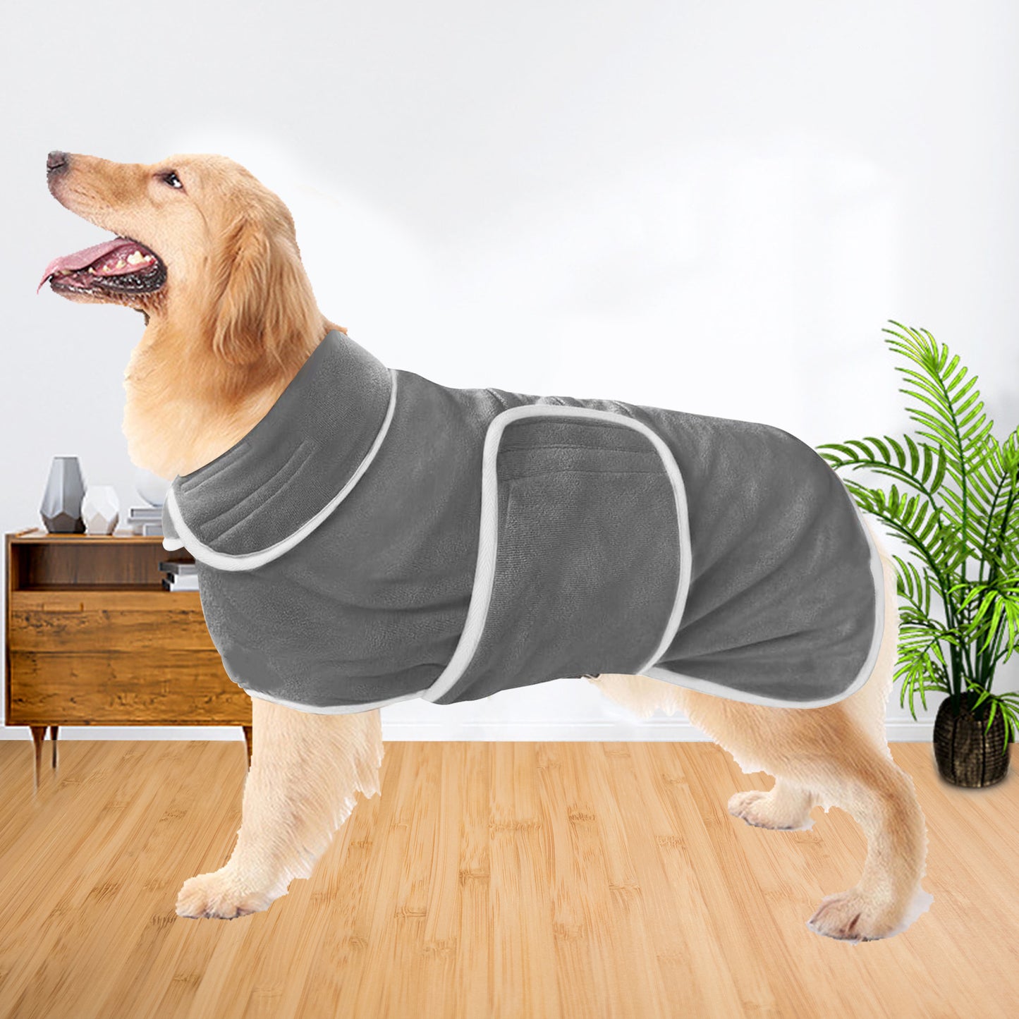 Dog wearing a gray bathrobe with a plant and wooden furniture in the background