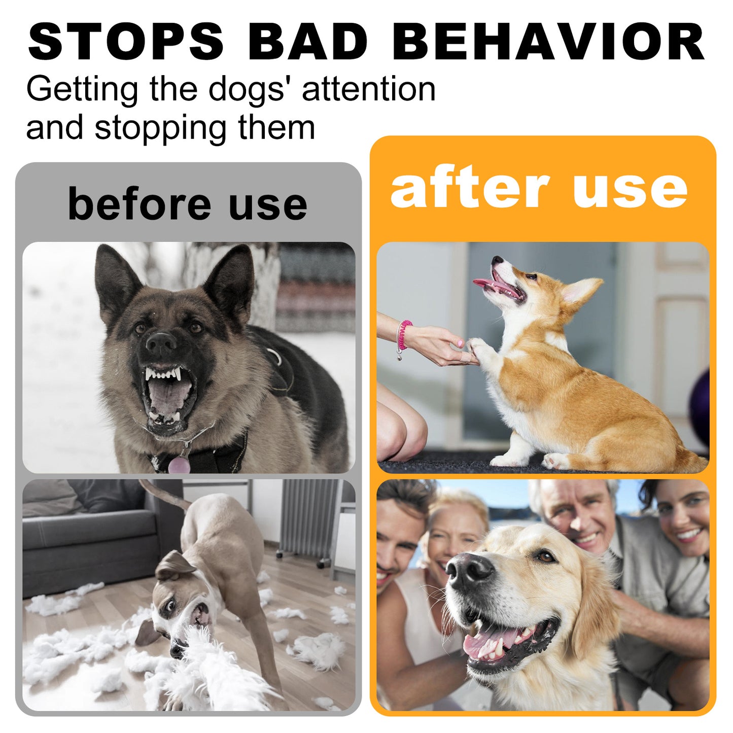 Before and after images of a dog with text about stopping bad behavior.