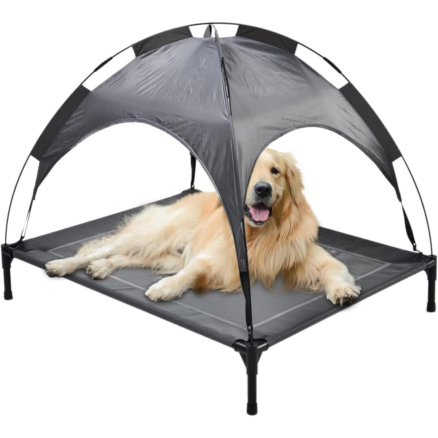 Dog lying on a gray pet canopy bed with a black frame.