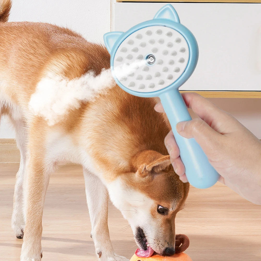 Dog being groomed with a blue grooming brush held by a hand.