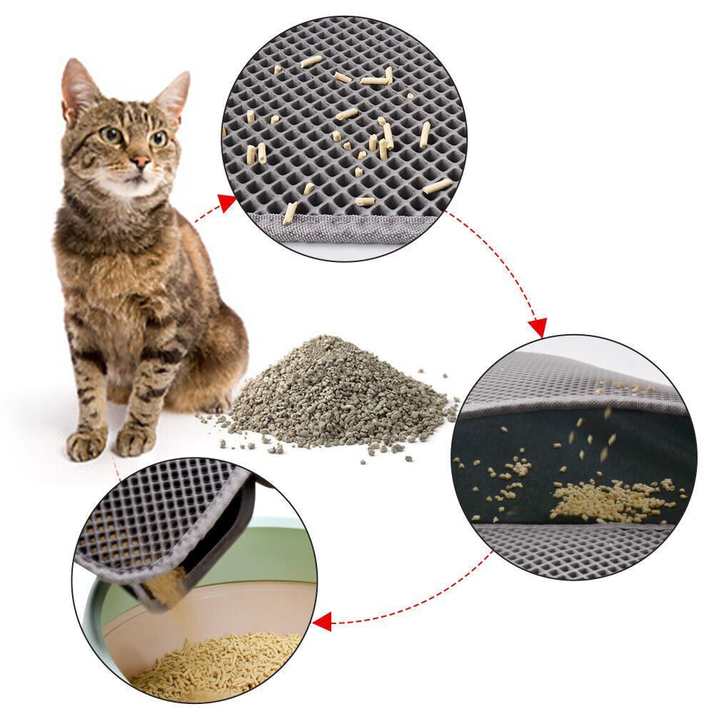 Cat with cat litter, scoop, and close-up of litter texture on a white background