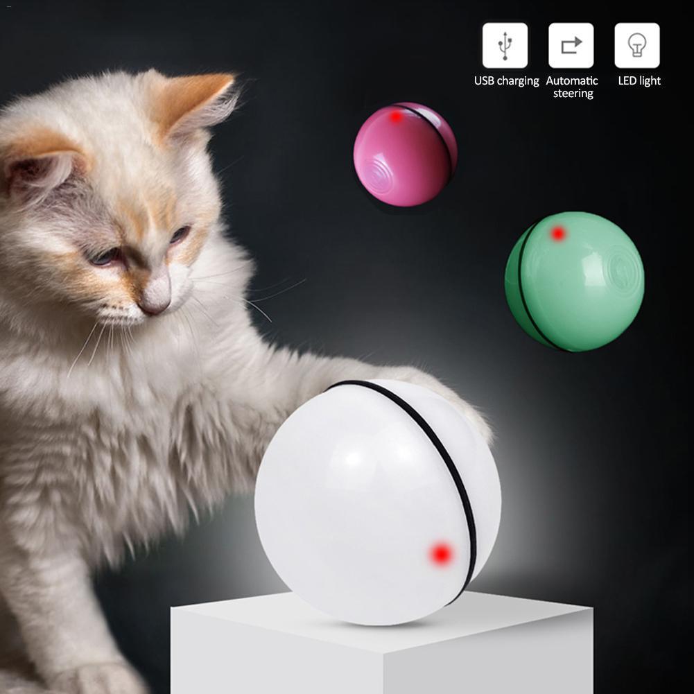 Cat playing with a self-spinning ball toy with LED light on a dark background
