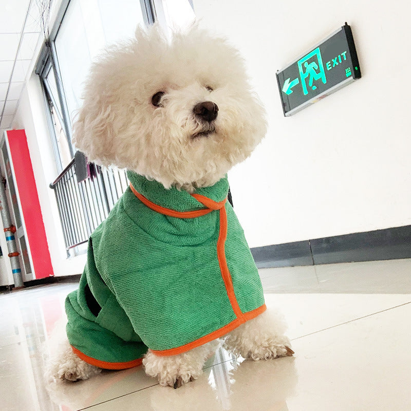 White dog wearing a green outfit with orange trim indoors near an exit sign.