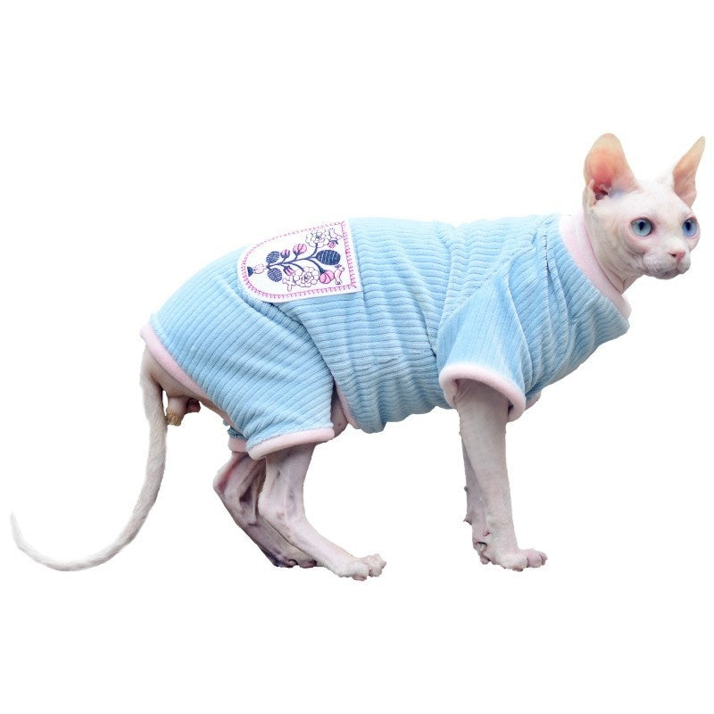 Cat wearing a light blue sweater with a pink collar on a white background