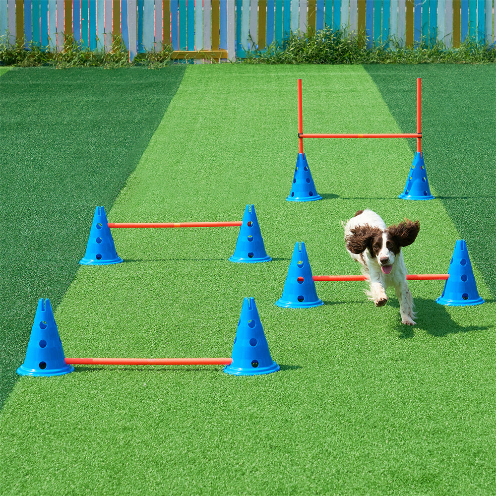 Dog jumping over agility equipment outdoors on a green lawn.