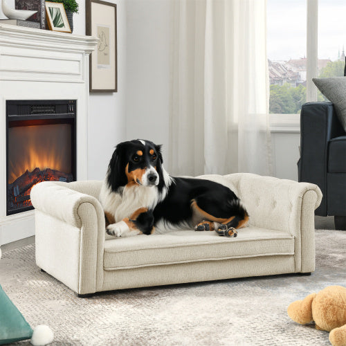 Dog sitting on a small beige couch in a living room with a fireplace and window in the background.