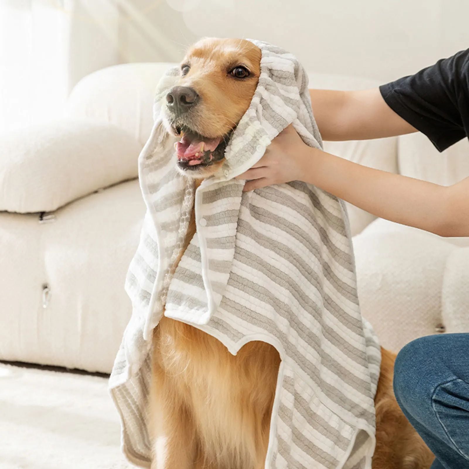 Dog wrapped in a striped towel with a person holding it, sitting on a couch.