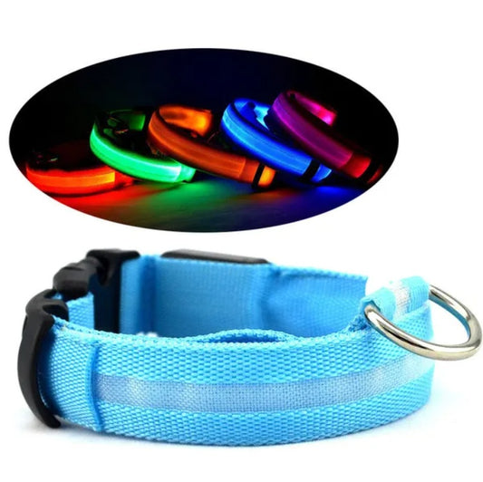 Blue dog collarand depicted in the background with glowing collars.