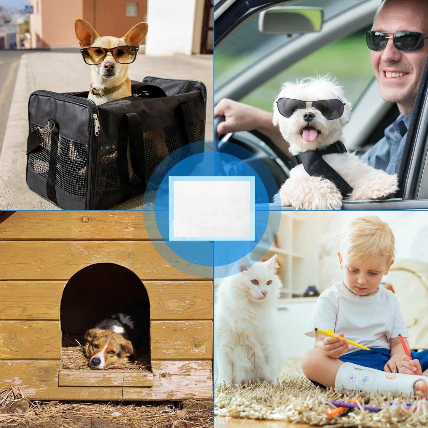 Images of different applications for the puppy training pads: travelling dog in a bag, another one in a car, one in a dog house and one of a cat and a boy sitting next to her.