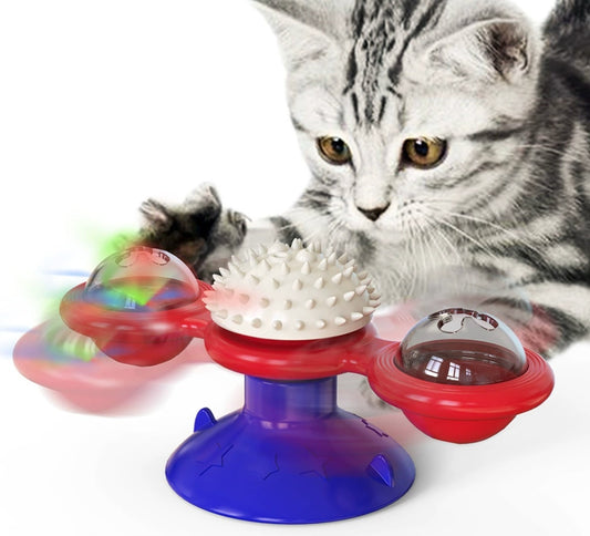 Cat playing with a colorful spinning toy on a white background