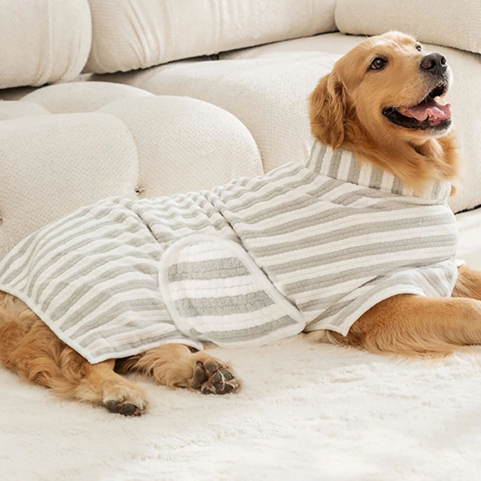 Dog wearing a striped robe sitting on a white couch