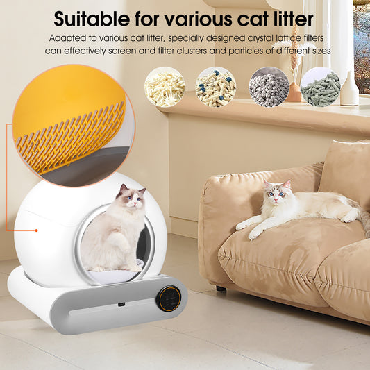 Cat litter product with crystal lattice filters and a cat sitting on a couch.