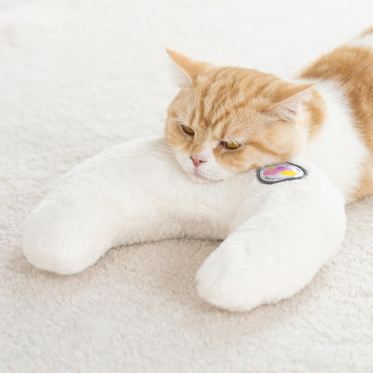 Cat lying on a fluffy white cushion with a soft focus background