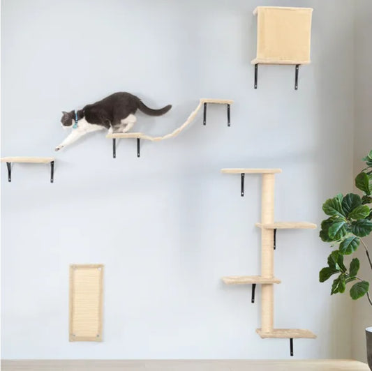 Cat climbing on a wall-mounted cat tree with a light blue wall and plant in the background