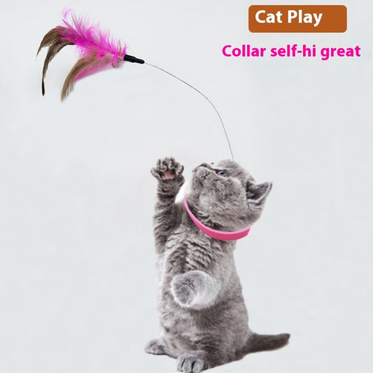 Cat playing with a feather toy on a white background