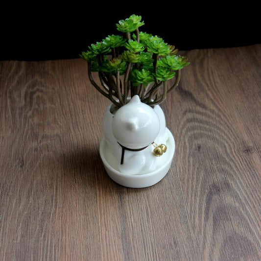Small white ceramic pot with green plants on a wooden surface