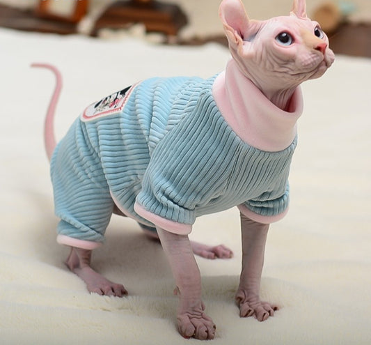 Sphynx cat wearing a light blue sweater with pink trim on a white surface.