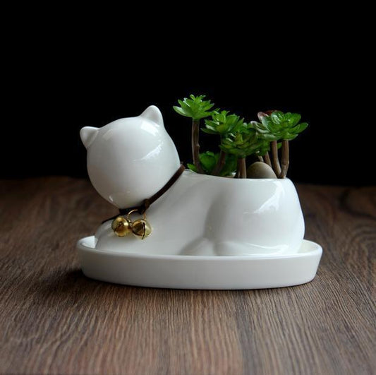 White ceramic cat-shaped planter with succulents on a wooden surface