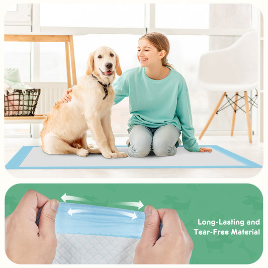 Woman sitting on a dog training pad with a dog, followed by a close-up of hands using the pad.
