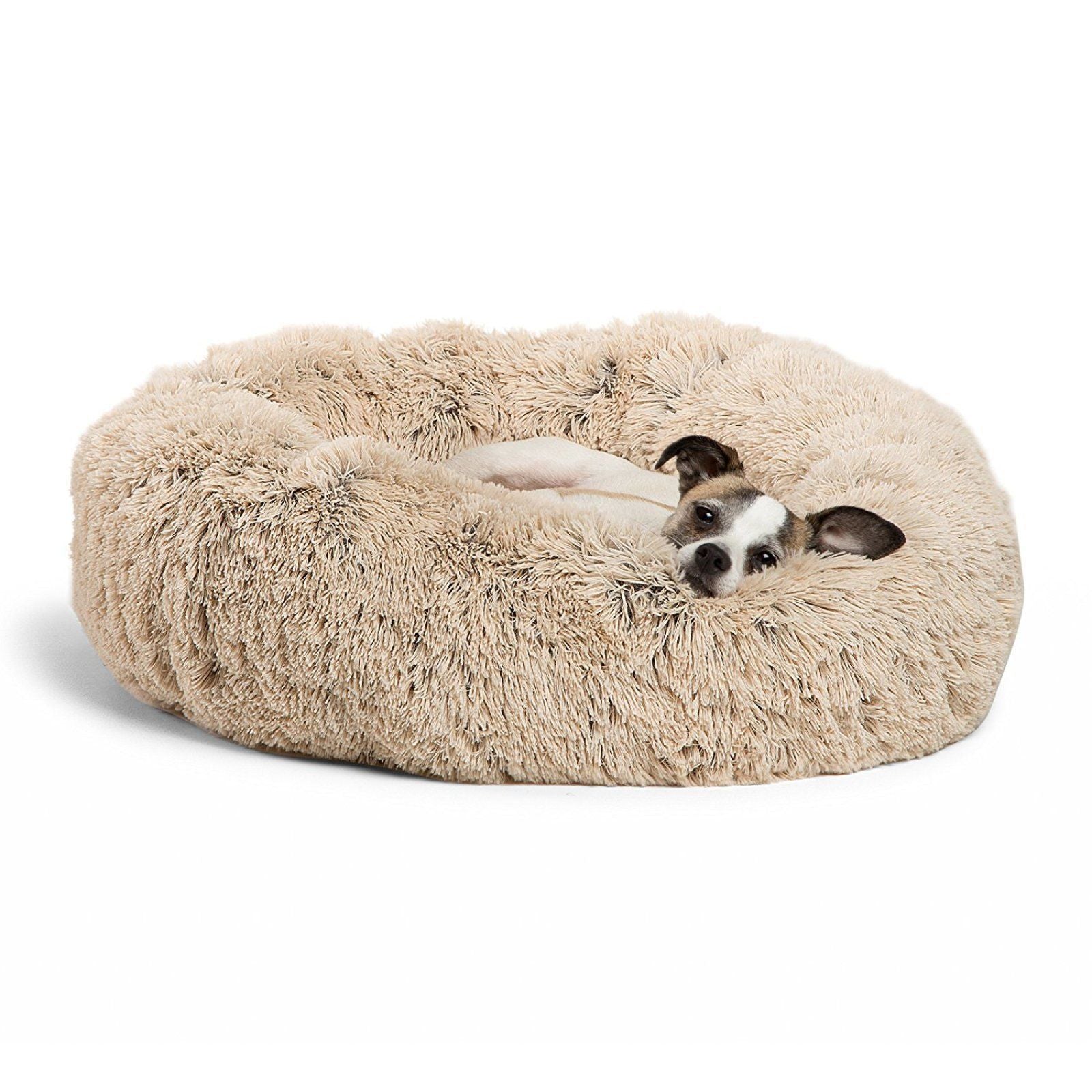 Dog lying on a fluffy beige donut bed against a white background