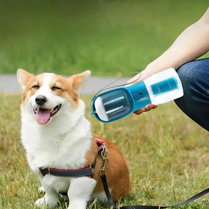 Person holding the portable water bottle next to a dog in a grassy area