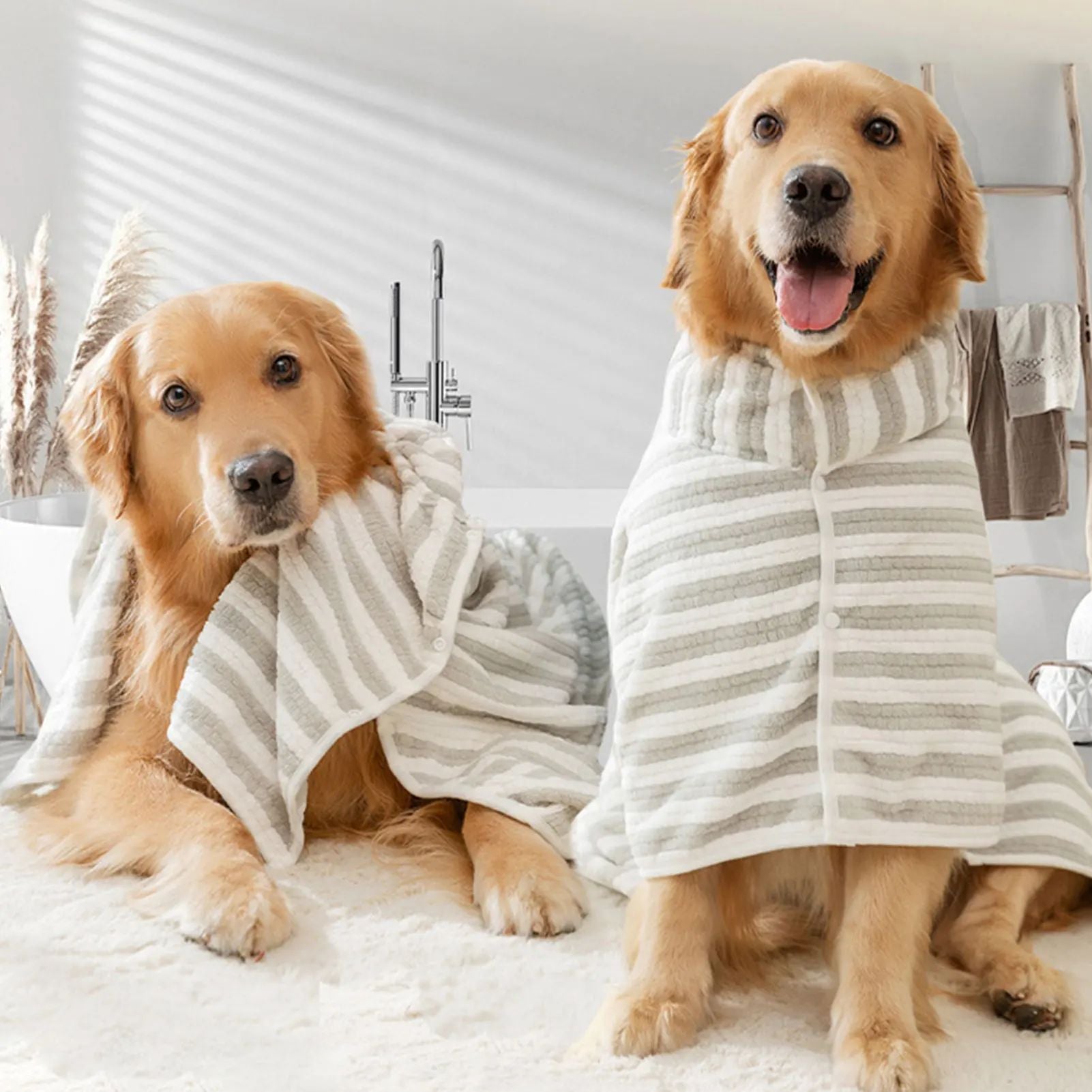 Two golden dogs wearing striped robes in a bathroom setting.